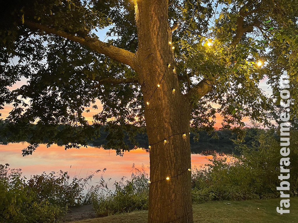 Sonnenuntergang am Seehaus Forst